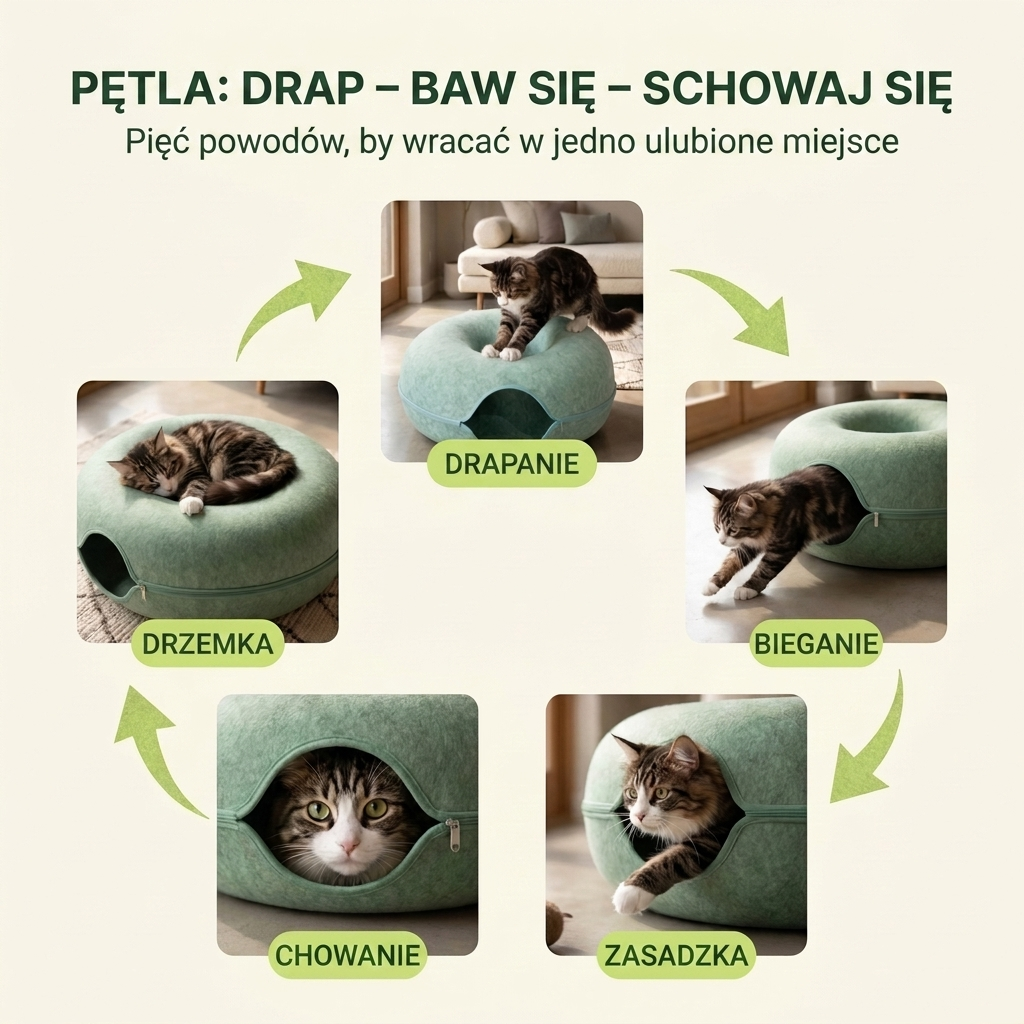 Pętla drap-baw się-schowaj się